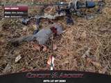 A perfect 22 yard shot with broadhead from a BelieverG1.