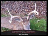 russ_z_6pt