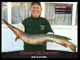 sharon_spotted_gar_bowfishi