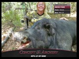 sharon_trame_503lb_pig_TN